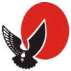 Airways Courier India